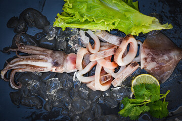 Wall Mural - squid rings on ice, Fresh raw squid with lettuce vegetable salad seafood coriander lemon on black plate background