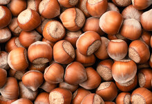Background Of Whole Unpeeled Hazelnuts