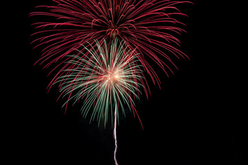 Poster - Bright festive fireworks (rays of light) on a dark background of the night sky.