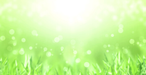 Fotomurales - Horizontal sunny background of green color with yellow sparks. Abstract nature background with green grass