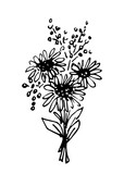 Fototapeta  - Hand drawn simple flower vector drawing in black outline. Cute beautiful bouquet of chrysanthemum flowers, gerbera, berries. For festive decoration of cards, invitations.