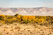 Scenic Grand Junction Colorado Landscape