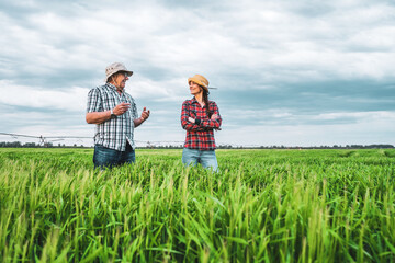 Proud two generations farmers are standing in their barley field and examining crops. Senior man is teaching his successor about the farming.