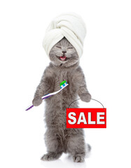 Poster - Happy cat with towel on it head holds toothbrush with toothpaste and shows sales symbol. isolated on white background