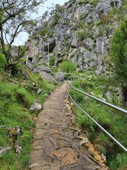 Wall Mural - Blue Mountains national park in New South Wales in summer 2022