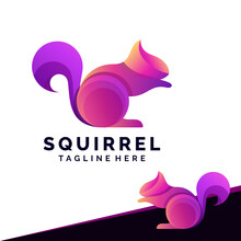 Beautiful Colorful Gradient Squirrel Logo Design