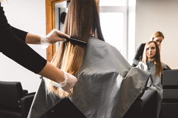 Wall Mural - Master hairdresser combs the girl's hair after washing and before styling in a beauty salon. Close up