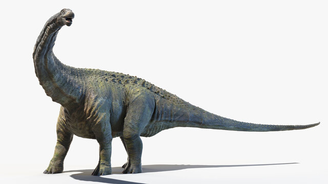 3d rendered illustration of an Apatosaurus
