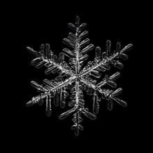 Snowflake Isolated On Black Background Natural Photo Crystal Winter Design