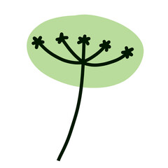 Dill in doodle style. Meadow green plant and spice. Simple natural grass. Cartoon illustration