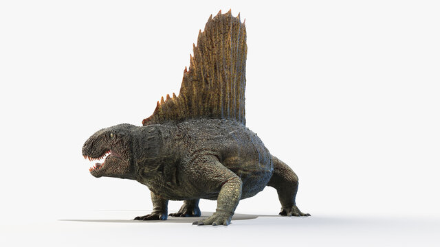 3d rendered illustration of a Dimetrodon