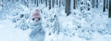 Winter Snow Snowman Background Panoramic Banner Panorama - Little Cute Snowman Sits On Snow In Snowy Forest With Snowflakes And Sunshine