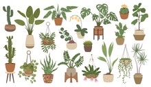 House Plants In Pots, Hanging Houseplants, Indoor Home Decor. Potted Cactus, Succulents, Urban Jungle Plant Interior Decorations Vector Set. Stands With Flowers In Scandinavian Style