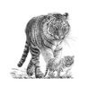 Hand drawn baby and adult tiger, sketch graphics monochrome illustration on white background