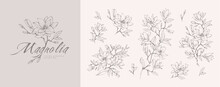 Magnolia Flower Logo And Branch Set. Hand Drawn Line Wedding Herb, Elegant Leaves For Invitation Save The Date Card. Botanical Rustic