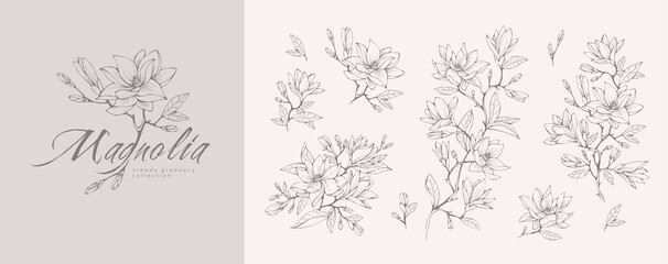 magnolia flower logo and branch set. hand drawn line wedding herb, elegant leaves for invitation sav