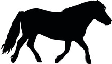 Trotting Shetland Pony Silhouette 