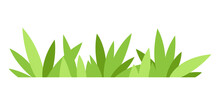 Green Grass Illustration. Natural Image Of Plant For Design.