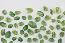 Pattern Made Of Fresh Green Light Leaves On A Seamless White Background. Flat Lay Natural Idea.