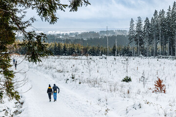 Canvas Print - Des randonneurs sur la neige