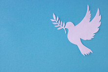A White Dove Cut Out Of Paper For The Background Of The World Peace Day. World Science Day For Peace And Development. Place For Your Text