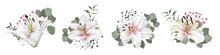 Vector Flower Set. White Lilies, Eucalyptus, Pink Gypsophila, Green Plants And Leaves. Flowers On White Background
