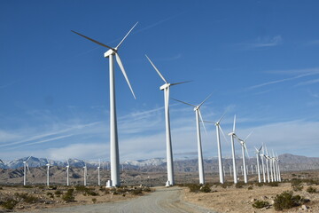 wind turbines farm