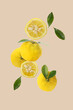 yuzu fruits isolated on a light brown background 