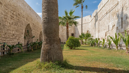 The courtyard of the ancient Citadel of Qaitbay   is surrounded by stone walls. Palm trees and shrubs grow on the lawn. Blue sky. Alexandria. Egypt.