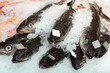 Fresh cooled European hakes (Merluccius merluccius) on crushed ice in open display of fish store