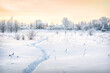 Trees and a house in white snow frost in the Moscow region on a sunny winter evening