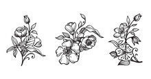 Collection Of Vector Hand Drawn Arrangements With Flowers And Leaves