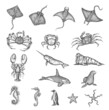 Manta ray, stingray, crab or lobster, seahorse and starfish, walrus, narwhal and killer whale in vector sketch. Ancient map elements of ocean seafaring and captain sea sailing for treasures adventure