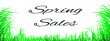 spring sale - white background with grass and lettering