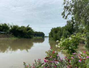 Wall Mural - River scene with tropical forest