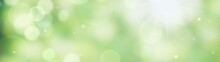 Spring Background - Abstract Banner - Green Blurred Bokeh Lights 