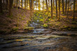 A small stream trickles down to the creek along the Fiery Gizzard Trail on the South Cumberland Plateau in Tennessee.