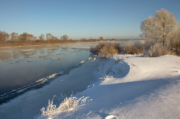 Wall Mural - winter landscape. morning frost and sun. ice drift on the river. the branches of plants are covered with white frost