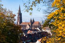 View Of Freiburg In Autumn 