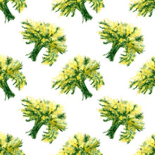 Seamless Mimosa Flowers Bouquet Pattern. Watercolor Floral Background For Spring Decorations, Textile, Wrapping