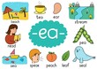 Ea digraph spelling rule educational poster for kids with words. Learning phonics for school and preschool. Phonetic worksheet. Vector illustration