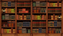 Shelving With Books. Library. Book Collection