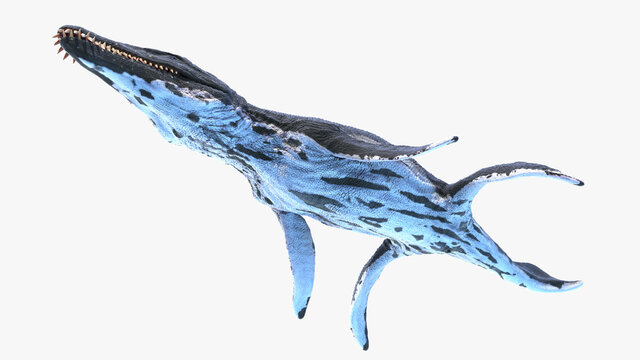 3d rendered illustration of a Liopleurodon