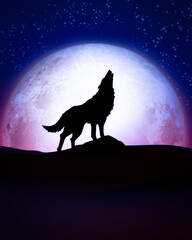 wolf howling at night