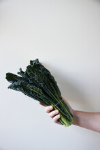 Vertical Shot Of A Hand Holding A Bunch Of Kale On White Background