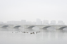Memorial Bridge And Geese Colony In Fog - Washington Dc United States