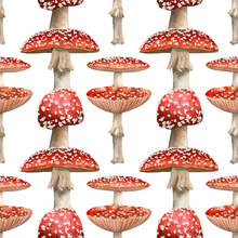 Seamless Fly Agaric Mushrooms Pattern. Watercolor Background With Red Amanita Poisonous Mushroom For Fabric