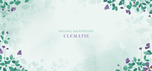 Horizontal background of green leaves and green paint splash on white background