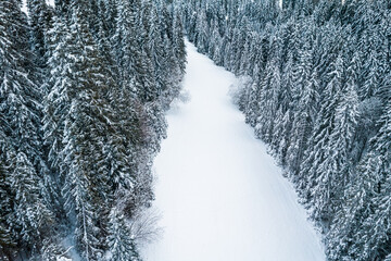 Poster - Winter Wonderland Snow Covered Spruce Trees. Drone Aerial View