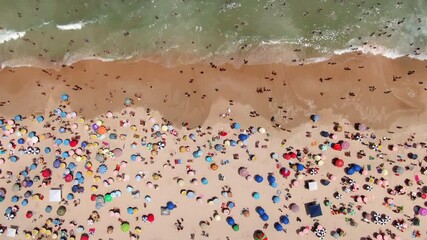 Wall Mural - Top down aerial view of famous Copacabana Beach showing colourful sun umbrellas and people bathing and relaxing during summer in Rio de Janeiro, Brazil.